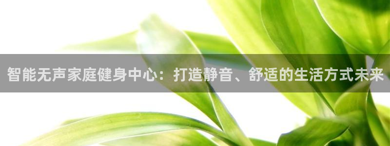 usdt数量查询：智能无声家庭健身中心：打造静音、舒