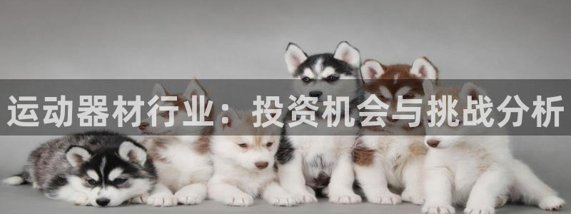 usdt合法性：运动器材行业：投资机会与挑战分析