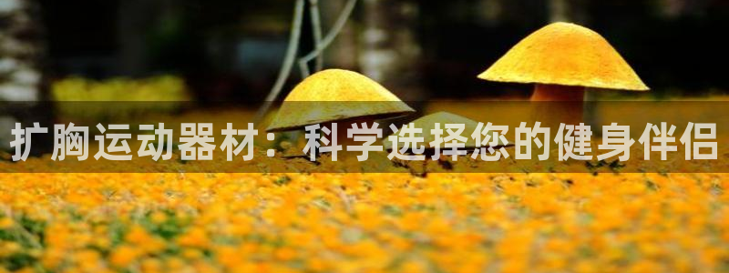 usdt账号注销之后还能查到吗：扩胸运动器材：科学选