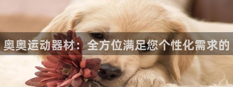 Usdt交易照片：奥奥运动器材：全方位满足您个性化需