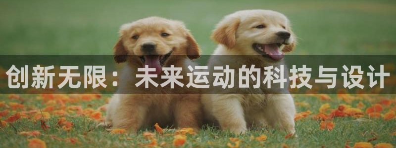 usdt在中国违法吗?：创新无限：未来运动的科技与设
