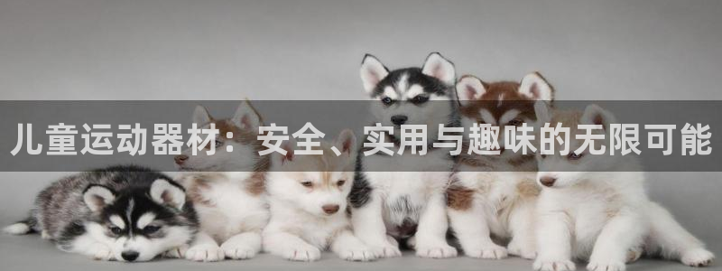 usdt钱包官方下载安卓：儿童运动器材：安全、实用与