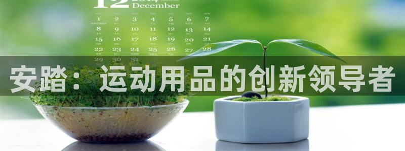 usdt交易钱包：安踏：运动用品的创新领导者