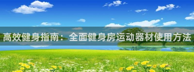 usdt交易套路：高效健身指南：全面健身房运动器材使