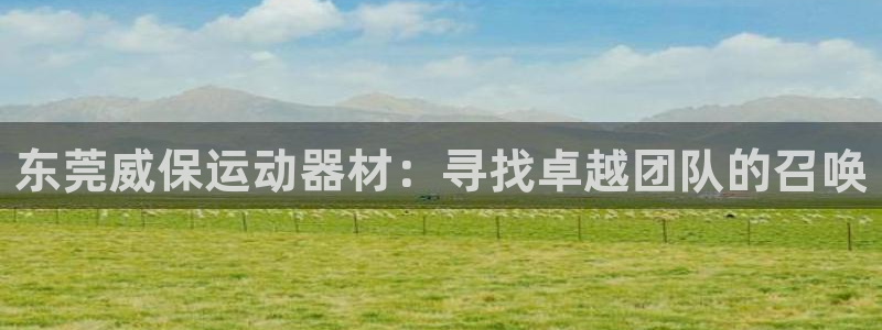 usdt-trc20怎么用：东莞威保运动器材：寻找卓越团队的