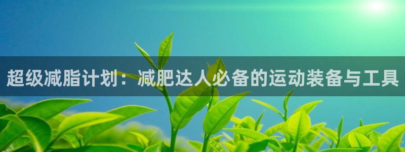 usdt钱包地址别名：超级减脂计划：减肥达人必备的运动装备与