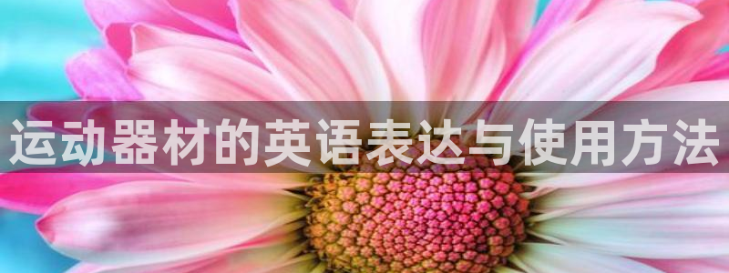usdt钱包别名在哪