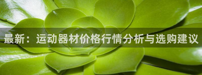 usdt 查流水