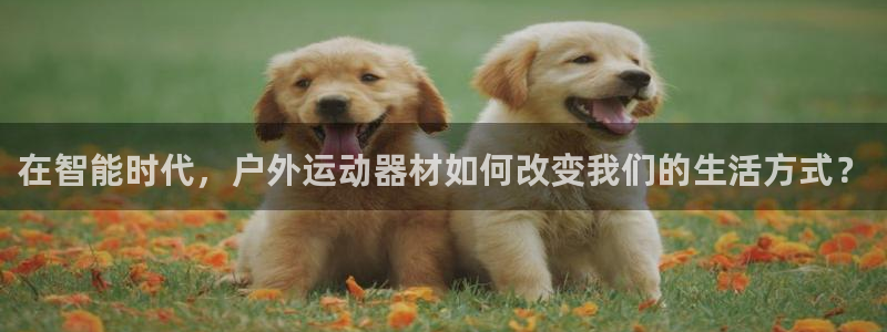 usdt钱包地址大全：在智能时代，户外运动器材如何改变我们的
