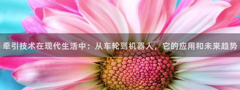 USDT账号下载：牵引技术在现代生活中：从车轮到机器人，它的